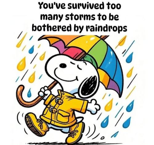 450eb4b7f3fcce1e0ba5bb6a8c8c9593