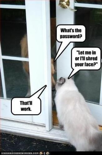 59a45d0d7cc81e2bf1bdf7fd4f4c8639