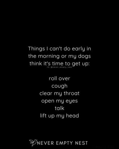 Resized_FB_IMG_1759712359232