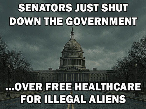 illegal aliens shut down govt