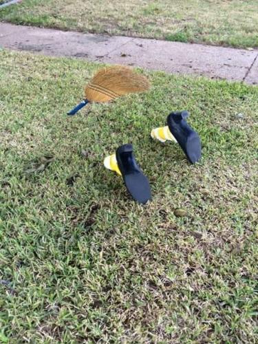 72315762_10157373082115560_7413344574891884544_n