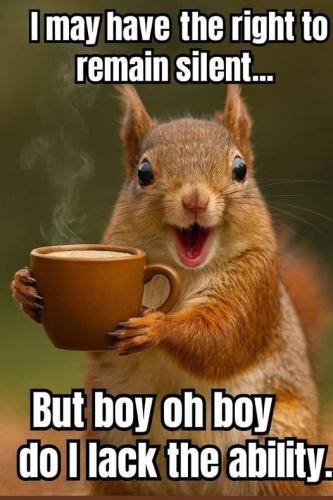 558960396_659927873857091_4650171622590308606_n