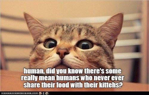 1b96187dd38fffed00a7a197710064f6