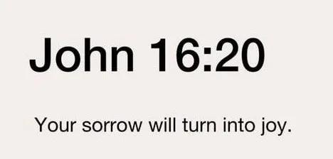 IMG_20251030_185614_268