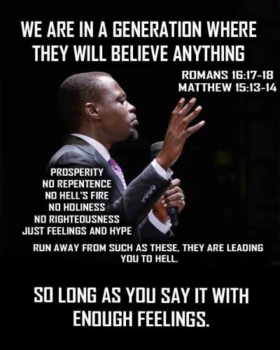 31c31a1e6a7b4562a9136c2ed14f8a78