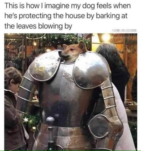 FB_IMG_1760805961394