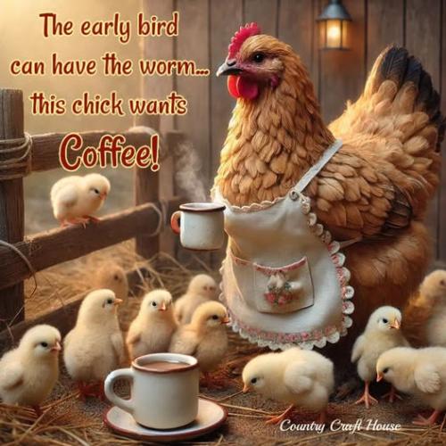 571205127_1126963336283351_8257718564508456400_n