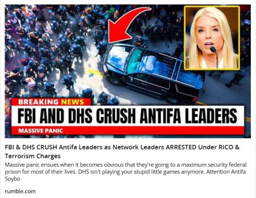 FBI & DHS Crush Antifa screenshot