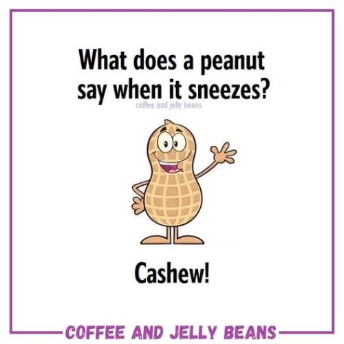 556576492_1319166569635936_6251689617037067508_n