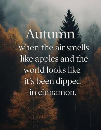 550179707_1255965696570905_3954341812751274805_n