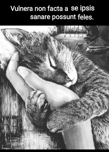 FB_IMG_1757857439508