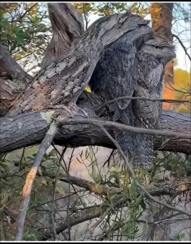 566231448_3346179992201060_8627269485751237119_n