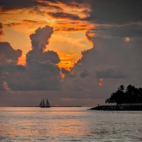 FB_IMG_1759931544895