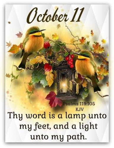 564037764_18028117175743683_1896466203092526316_n