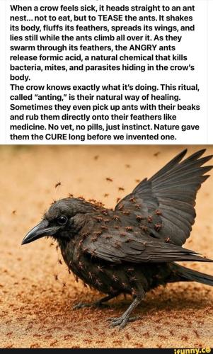 bdf530d4fbe14c42c25453e82ac2e2ecf0c1896dbd6cad52f957cc278e02e615_1