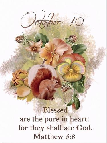 561867750_18027975179743683_3853851400243699261_n