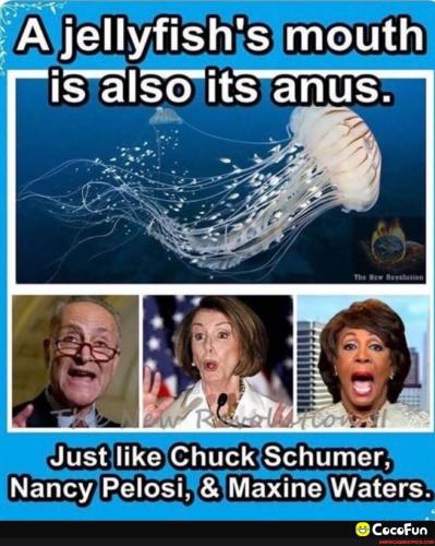 2ca57b12f086fc9dca6b5a730490d999fd0d56b36034d4acf06a726599003919_1