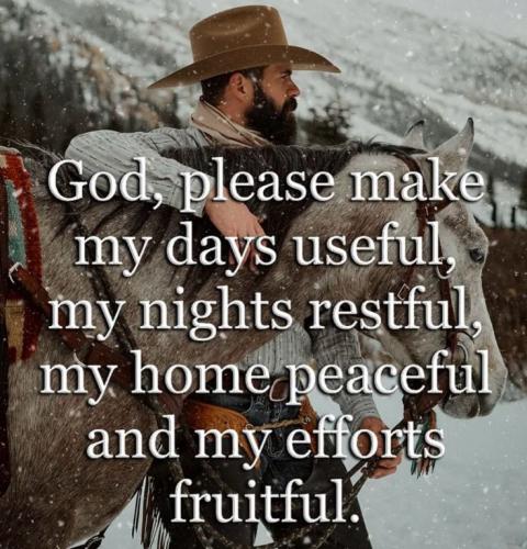 2aeb9b7c66884a916e2eb85945763d88