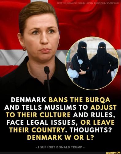 c45a8c1d5621a4d200ac4e41aa3f1366a0c42293500214ea56fbc2b3899526c8_1