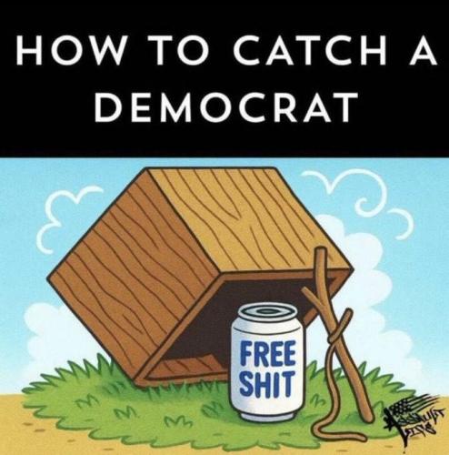 IMG_20251030_185534_383