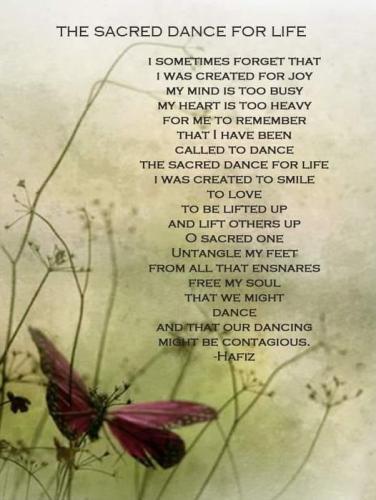 ,       ,        423193798_7468111