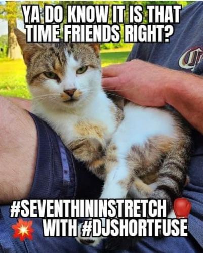 Screenshot_20251008_143804_Gallery