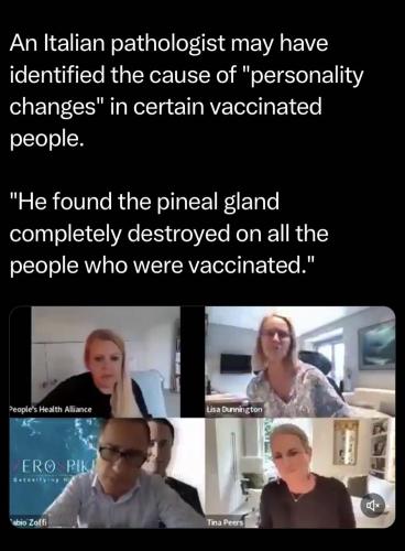 IMG_20251010_014131_406