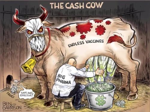 cash cow