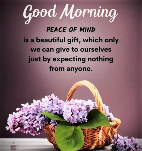 103025 - Peace of mind