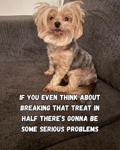 431b16e23305ca3197d77c1c0362133a