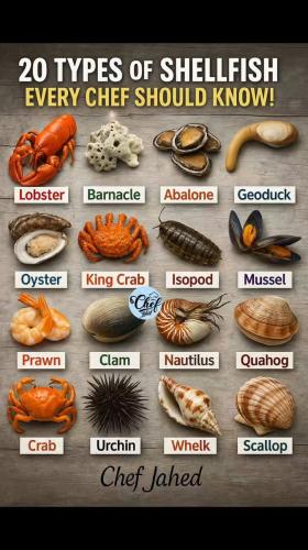 008ca816a00eccd304f193ed01e2b4f4