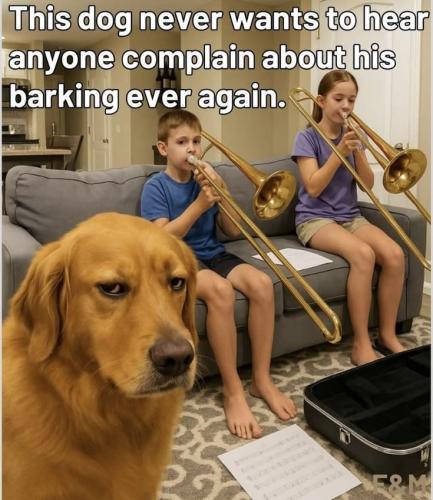 3add37b3db9b076bbbbd2f0ec5d767ef