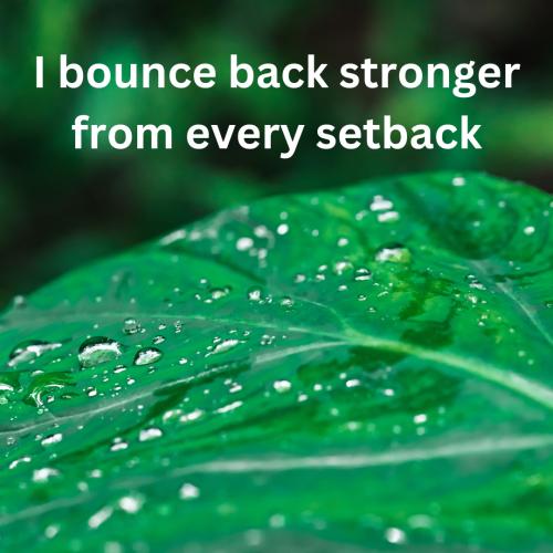 1A-Bounce Back