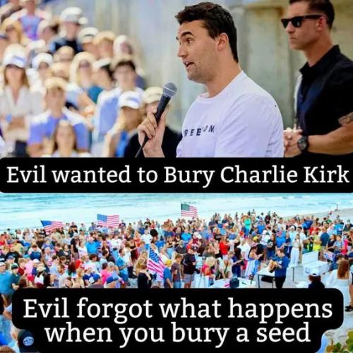 what-happens-when-you-bury-seed