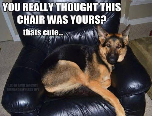 da93acab5c93e570bba5a75206dfb24f