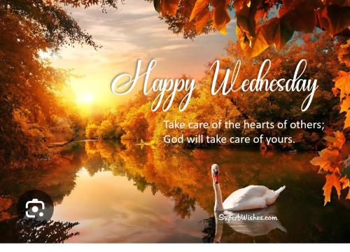 Screenshot_20251001_092353_Google