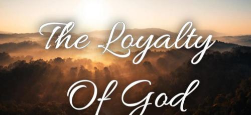 5f60bc2b-76ad-4aa2-828d-c331ce3d1b15