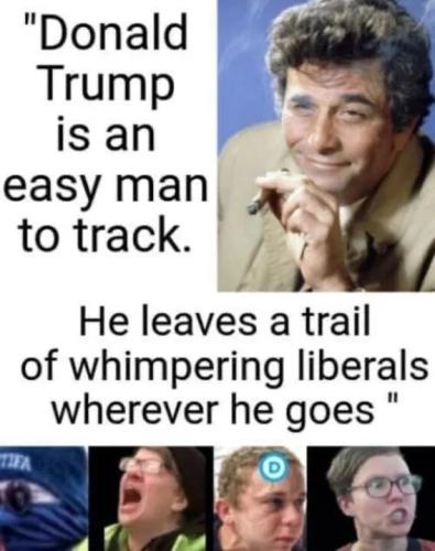 trump-easy-to-track