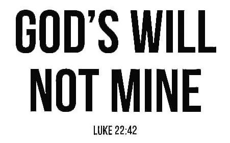 IMG_20251026_130858_484