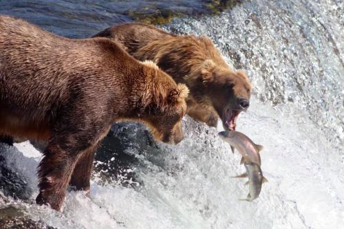 237248064_2316074185195497_3955870416475993557_n