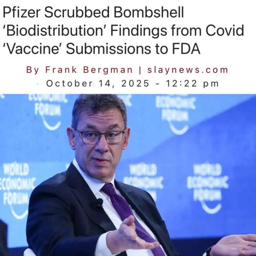 561096590_1397612319038604_6930005383599331646_n