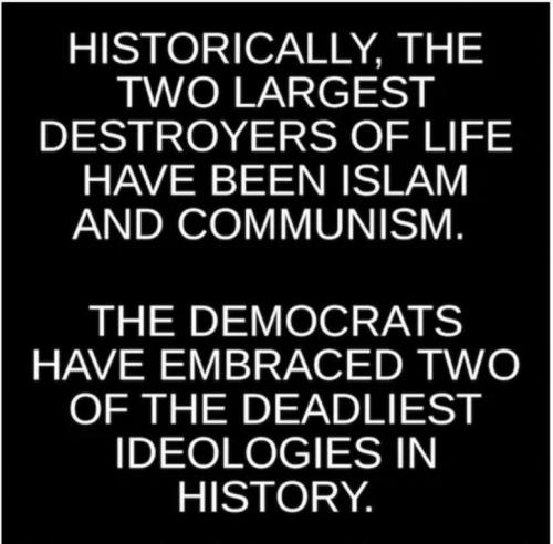 1c162eef-375e-478d-b649-d40c98c89b9b