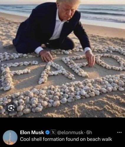 4e0c838e-8cb4-45a3-8823-14bc3d42068f