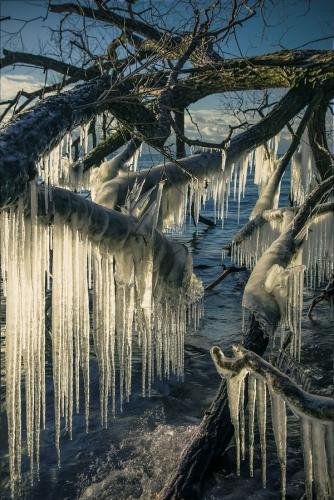 176148214a742069b895096ecded7e56