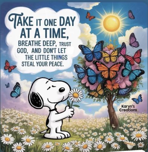 50a717cd8a2c0a55e85468f7fe104264