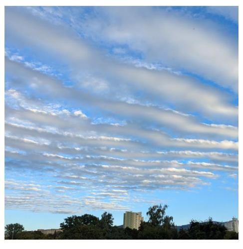 7e1198cd-a42e-4b5c-9a06-0a0381c2b7e1