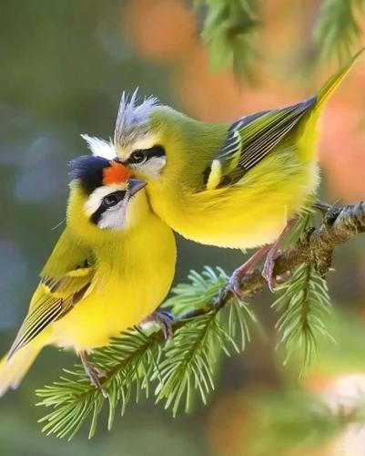 571120707_1726179314734468_636101742945533912_n