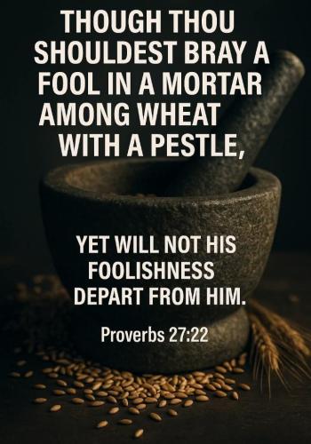 adab256a-567a-45a3-9a7f-f3c4cfa933db