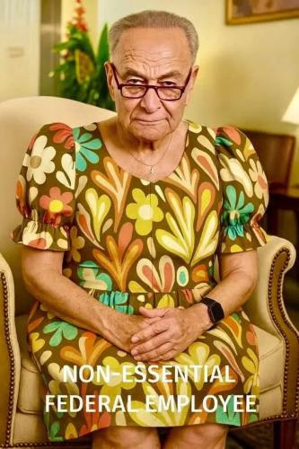 non-essential-schumer