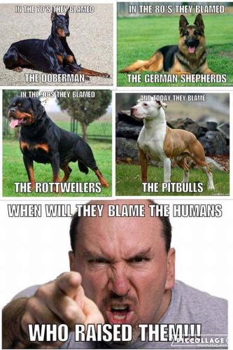 94e5bd58fae75a34e0bcf287c37722fa